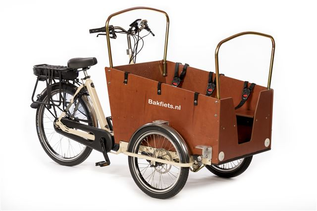bakfiets daycare pic.webp